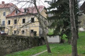 Zajetje vodnega vira Graščina in objekt B dvorca Trebnik